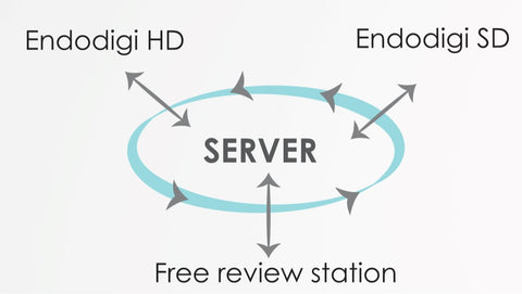 endoDIGI Server License