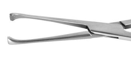 COLVER Tonsil seizing Forceps, (straight OR curved), 7½"